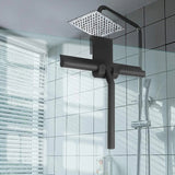 Modern Shower Squeegee