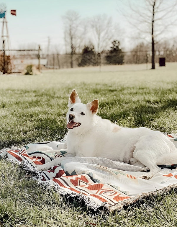 Bohemian Chic Picnic Mat